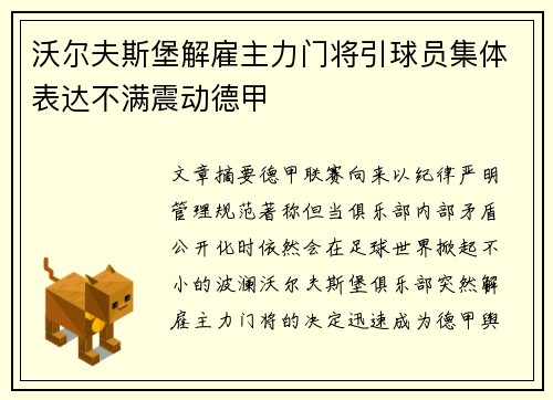 沃尔夫斯堡解雇主力门将引球员集体表达不满震动德甲 沃尔夫斯堡解雇主力门将引球员集体表达不满震动德甲